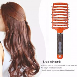 Detangle Hairbrush Women Wet Comb