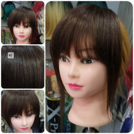 Bangs Human Hair